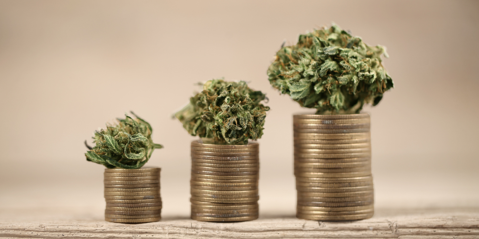 High times: Don't get burned by cannabis investing
